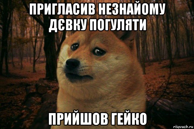 пригласив незнайому дєвку погуляти прийшов гейко, Мем SAD DOGE