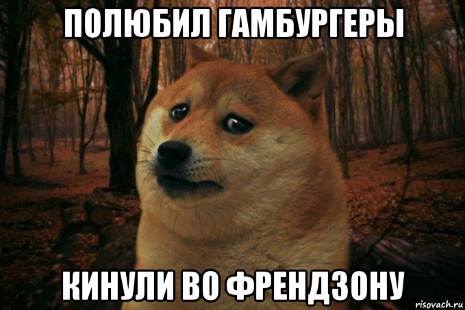 полюбил гамбургеры кинули во френдзону, Мем SAD DOGE