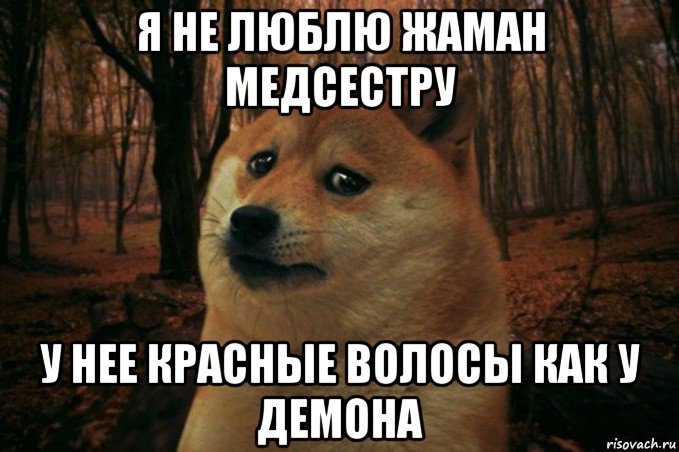 я не люблю жаман медсестру у нее красные волосы как у демона, Мем SAD DOGE