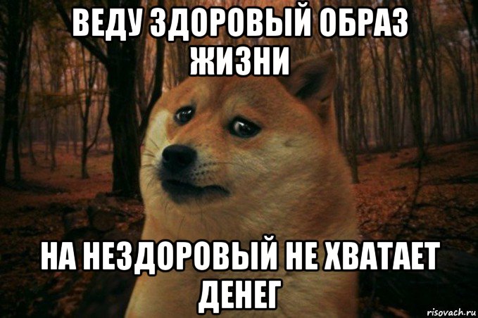 веду здоровый образ жизни на нездоровый не хватает денег, Мем SAD DOGE