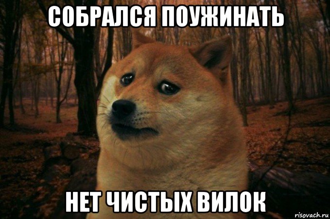 собрался поужинать нет чистых вилок, Мем SAD DOGE