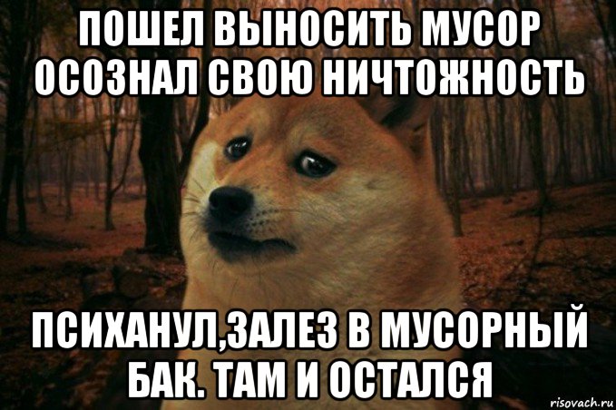 пошел выносить мусор осознал свою ничтожность психанул,залез в мусорный бак. там и остался, Мем SAD DOGE