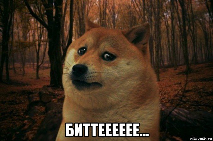  биттееееее..., Мем SAD DOGE