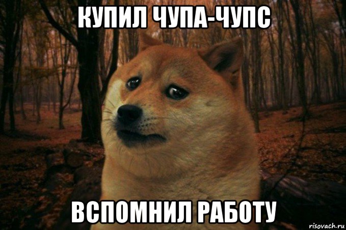 купил чупа-чупс вспомнил работу, Мем SAD DOGE