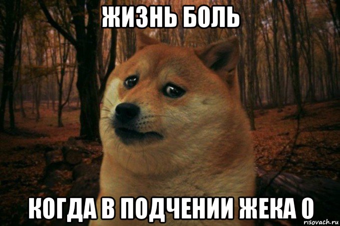 жизнь боль когда в подчении жека 0, Мем SAD DOGE