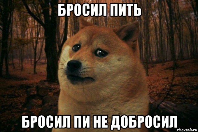 бросил пить бросил пи не добросил, Мем SAD DOGE