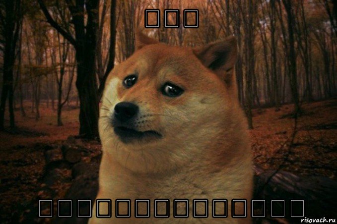                   , Мем SAD DOGE