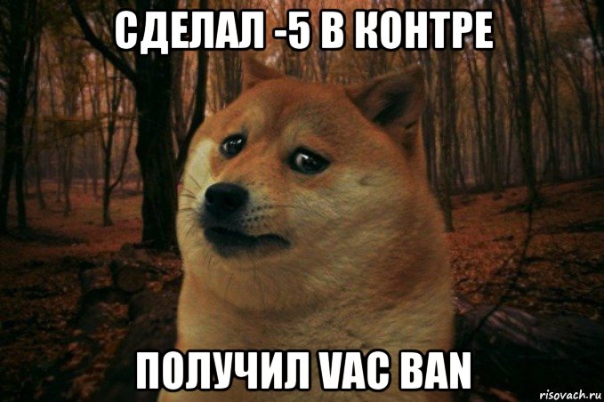 сделал -5 в контре получил vac ban, Мем SAD DOGE