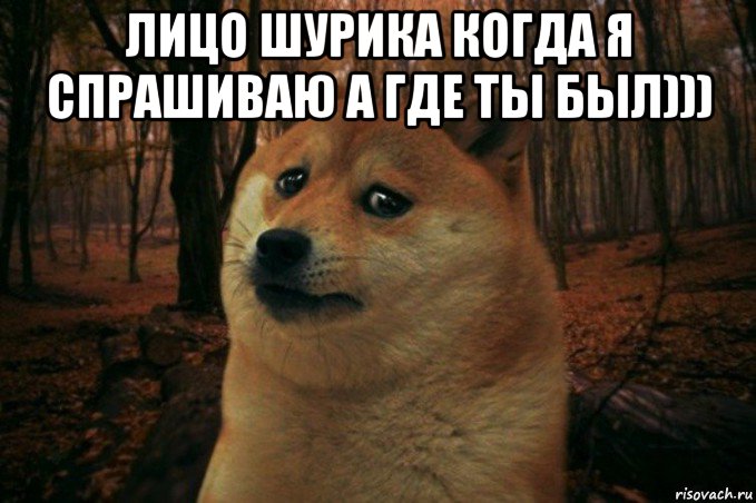 лицо шурика когда я спрашиваю а где ты был))) , Мем SAD DOGE