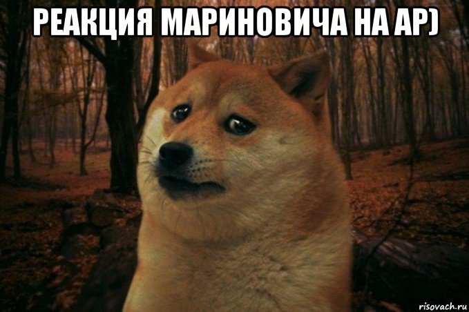 реакция мариновича на ар) , Мем SAD DOGE