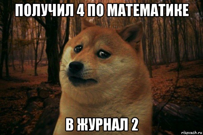 получил 4 по математике в журнал 2, Мем SAD DOGE