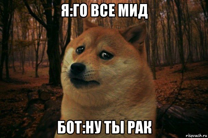 я:го все мид бот:ну ты рак, Мем SAD DOGE