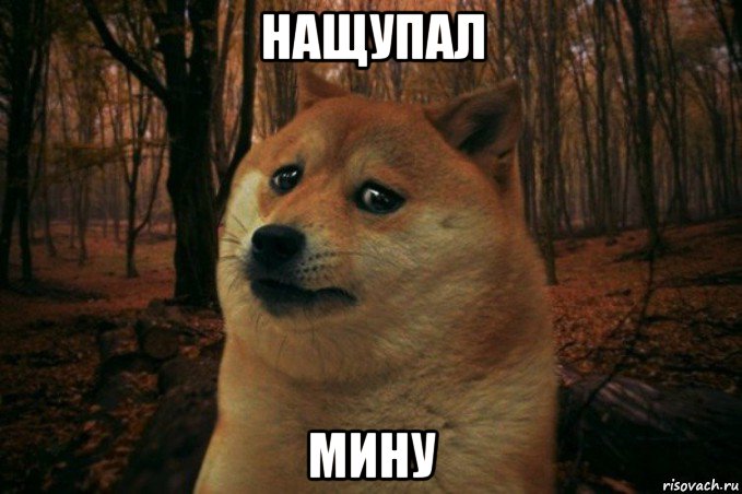 нащупал мину, Мем SAD DOGE