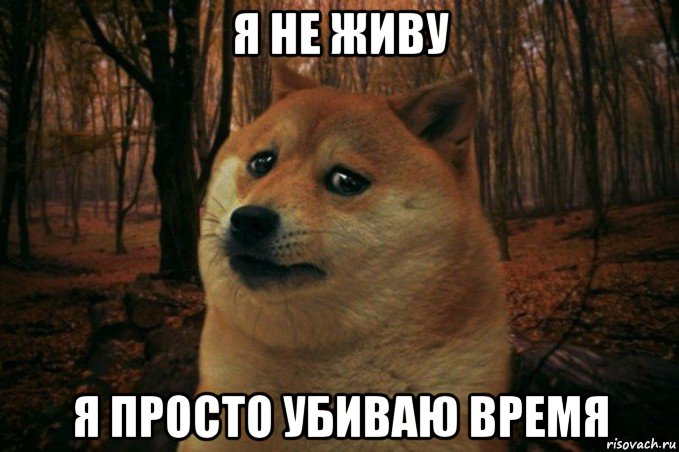 я не живу я просто убиваю время, Мем SAD DOGE