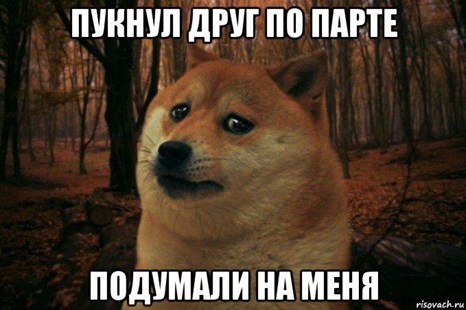 пукнул друг по парте подумали на меня, Мем SAD DOGE