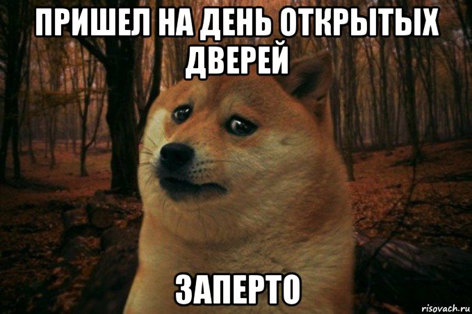 пришел на день открытых дверей заперто, Мем SAD DOGE