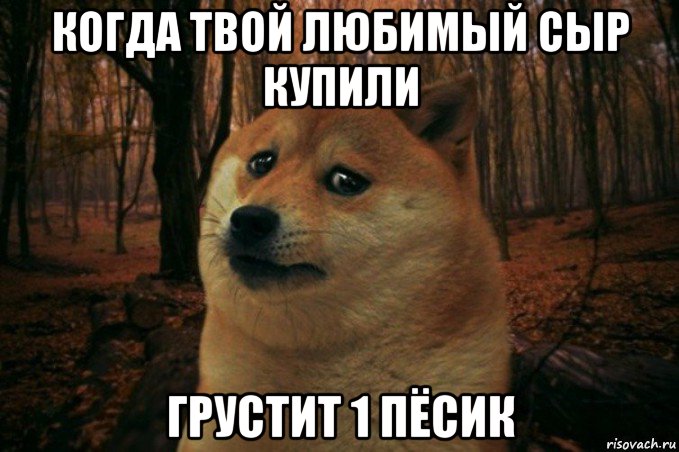 когда твой любимый сыр купили грустит 1 пёсик, Мем SAD DOGE