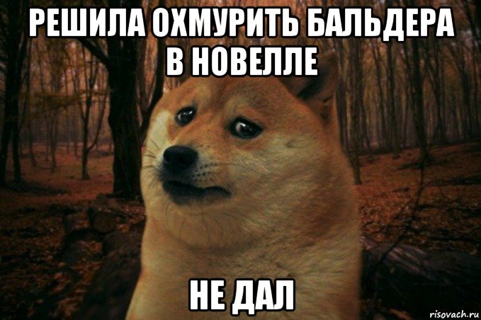 решила охмурить бальдера в новелле не дал, Мем SAD DOGE