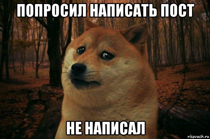 попросил написать пост не написал, Мем SAD DOGE