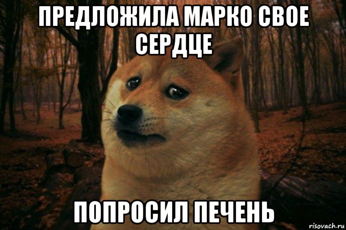 предложила марко свое сердце попросил печень, Мем SAD DOGE