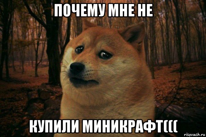 почему мне не купили миникрафт(((, Мем SAD DOGE