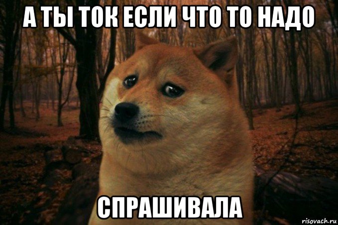 а ты ток если что то надо спрашивала, Мем SAD DOGE