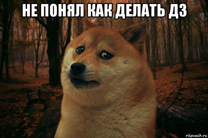 не понял как делать дз , Мем SAD DOGE