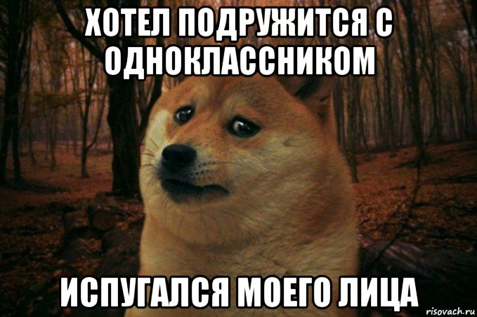 хотел подружится с одноклассником испугался моего лица, Мем SAD DOGE