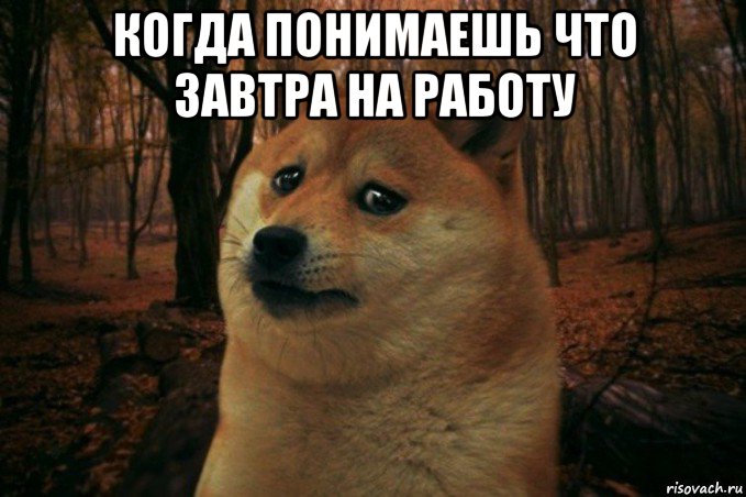 когда понимаешь что завтра на работу , Мем SAD DOGE