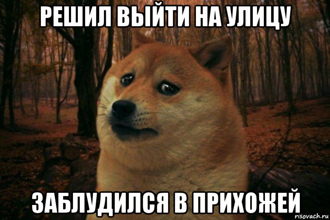 решил выйти на улицу заблудился в прихожей, Мем SAD DOGE