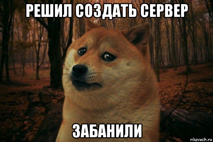 решил создать сервер забанили, Мем SAD DOGE