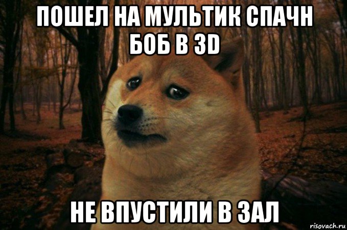 пошел на мультик спачн боб в 3d не впустили в зал, Мем SAD DOGE