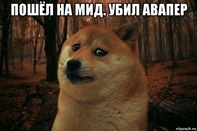 пошёл на мид. убил авапер , Мем SAD DOGE