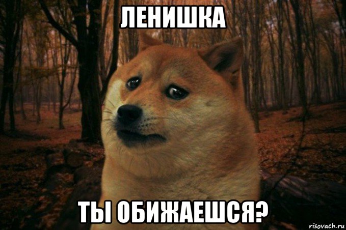 ленишка ты обижаешся?, Мем SAD DOGE