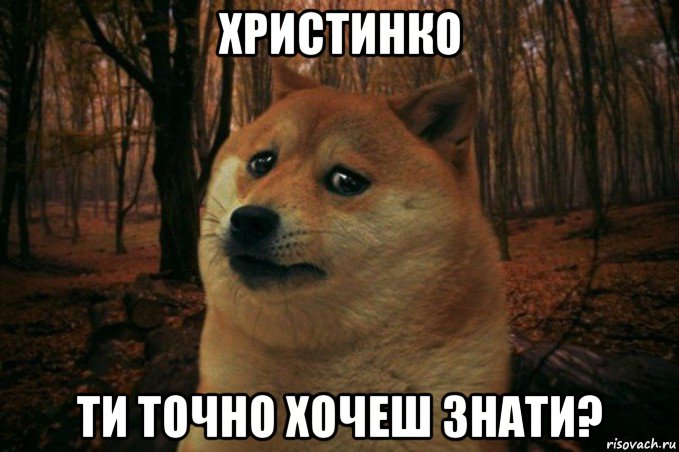 христинко ти точно хочеш знати?, Мем SAD DOGE