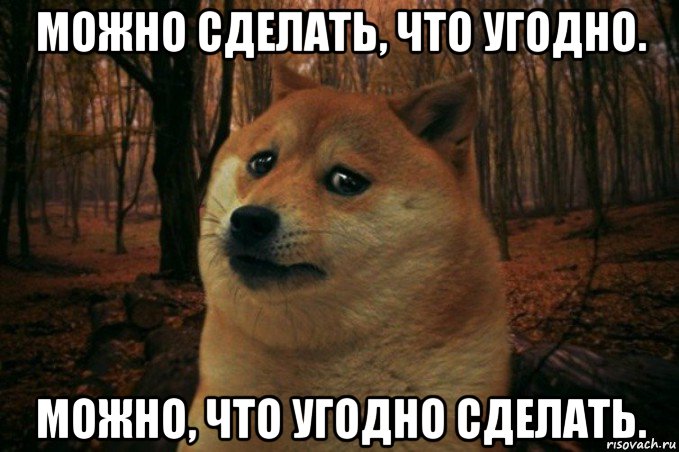 можно сделать, что угодно. можно, что угодно сделать., Мем SAD DOGE