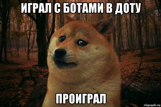 играл с ботами в доту проиграл, Мем SAD DOGE