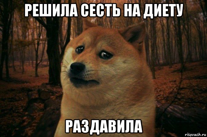 решила сесть на диету раздавила, Мем SAD DOGE