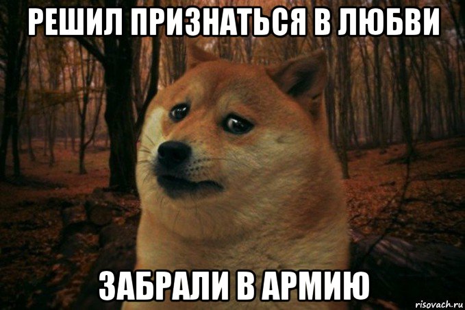 решил признаться в любви забрали в армию, Мем SAD DOGE