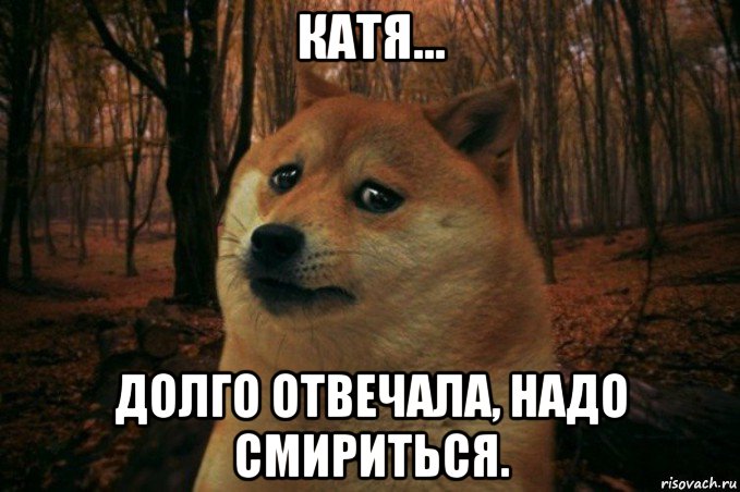 катя... долго отвечала, надо смириться., Мем SAD DOGE