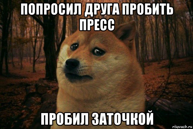 попросил друга пробить пресс пробил заточкой, Мем SAD DOGE