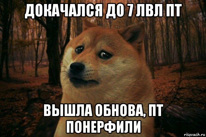 докачался до 7 лвл пт вышла обнова, пт понерфили, Мем SAD DOGE