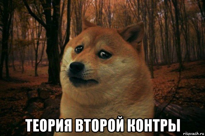  теория второй контры, Мем SAD DOGE