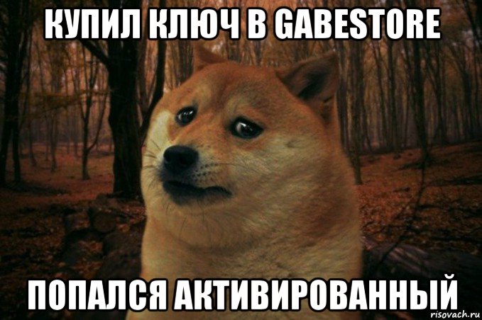 купил ключ в gabestore попался активированный, Мем SAD DOGE