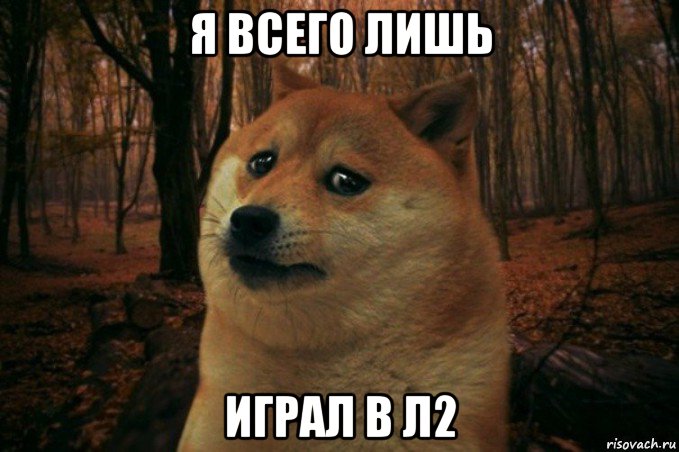 я всего лишь играл в л2, Мем SAD DOGE