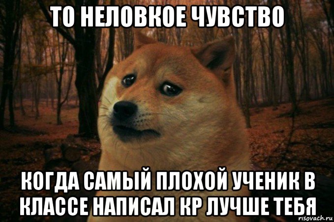 то неловкое чувство когда самый плохой ученик в классе написал кр лучше тебя, Мем SAD DOGE