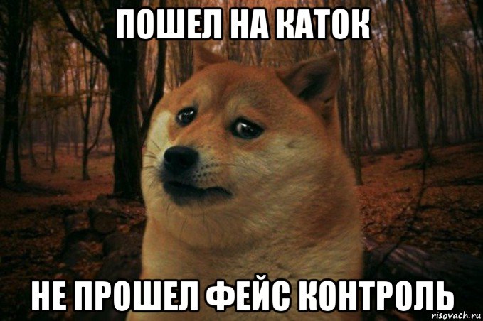 пошел на каток не прошел фейс контроль, Мем SAD DOGE