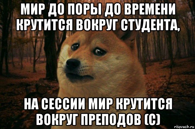 мир до поры до времени крутится вокруг студента, на сессии мир крутится вокруг преподов (с), Мем SAD DOGE