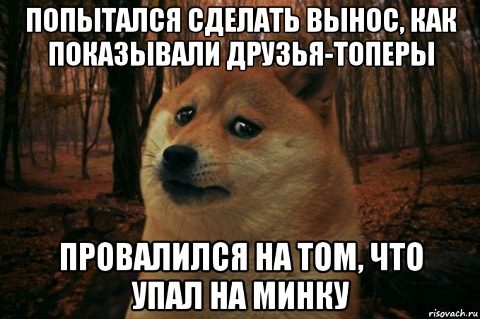 попытался сделать вынос, как показывали друзья-топеры провалился на том, что упал на минку, Мем SAD DOGE