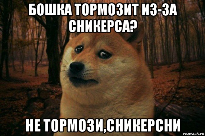 бошка тормозит из-за сникерса? не тормози,сникерсни, Мем SAD DOGE